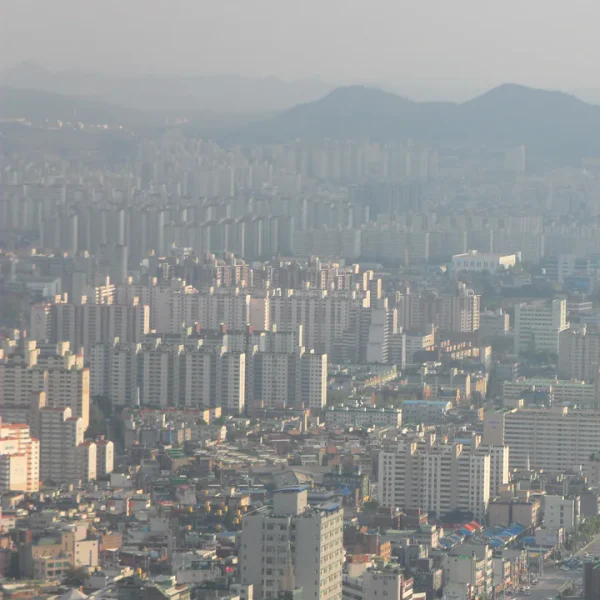 로열 라비앙살롱 홈타이 안내 이미지